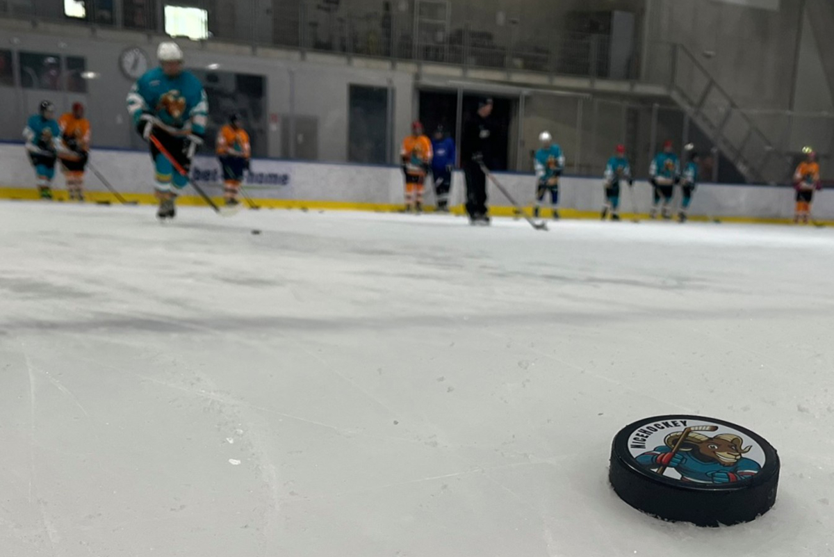 Puck Detail NiceHockey Session am 19.4.2026